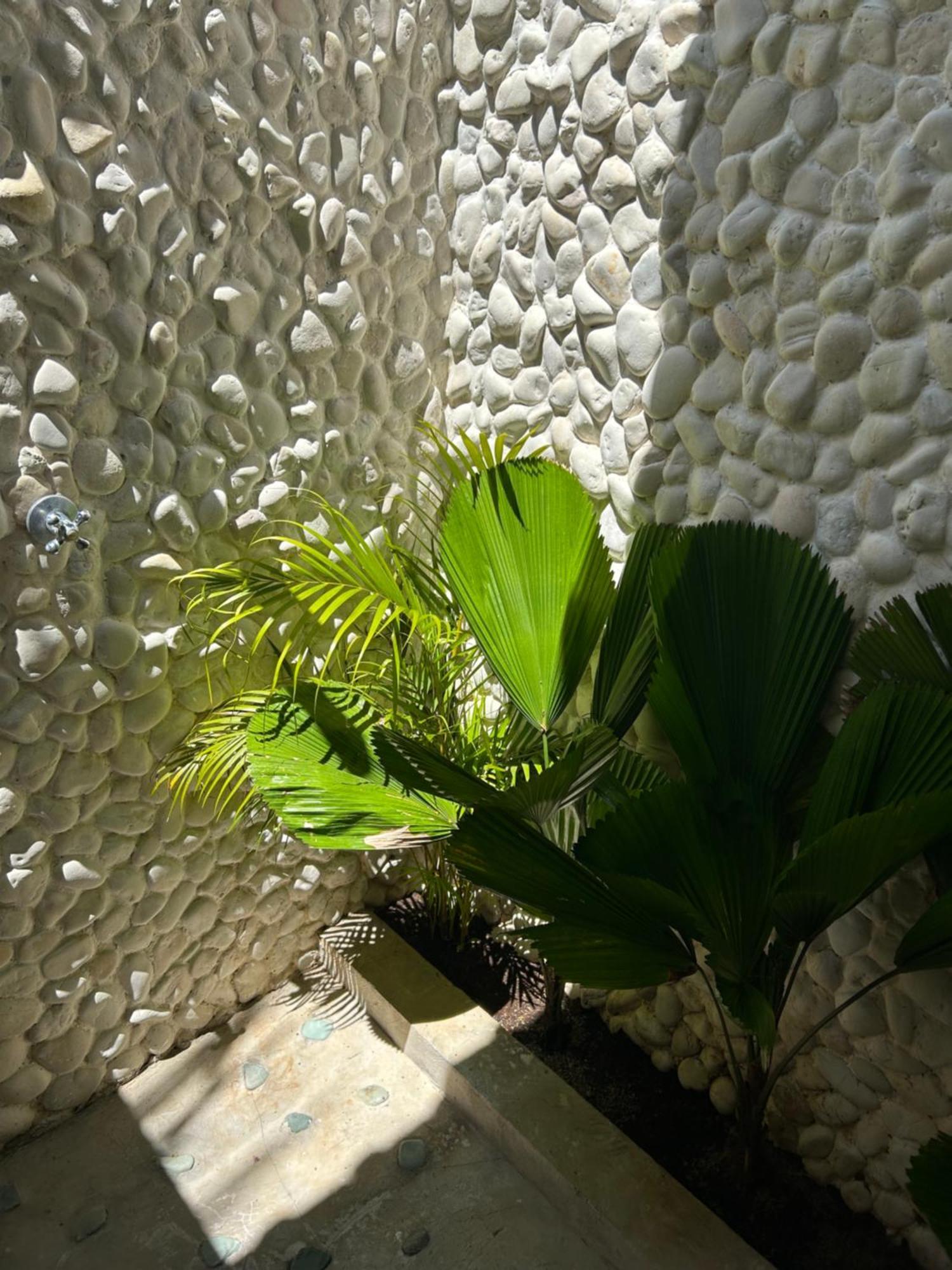 Bed and Breakfast La Kreyiol Uluwatu Exterior foto